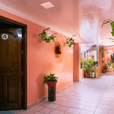 Hotel Alpa Kasa Chachapoyas Exterior foto